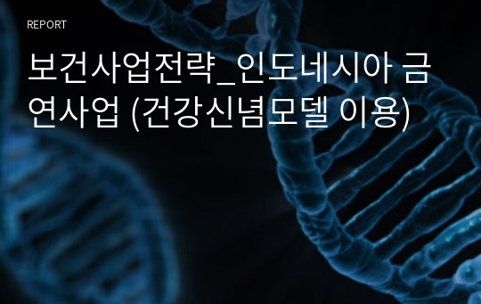 [물론 A+]보건사업전략_인도네시아 금연사업 (건강신념모델 이용)