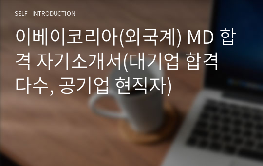 이베이코리아(외국계) MD 합격 자기소개서(대기업 합격 다수, 공기업 현직자)