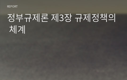 정부규제론 제3장 규제정책의 체계