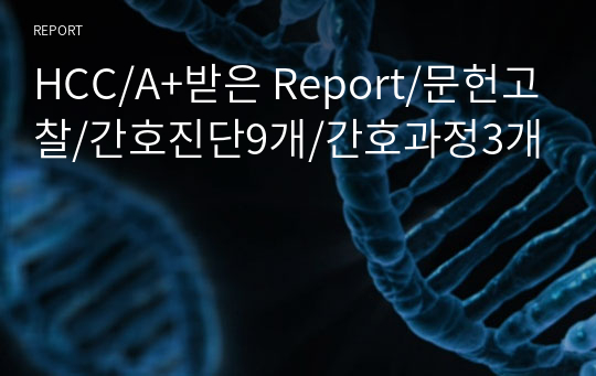 HCC/A+받은 Report/문헌고찰/간호진단9개/간호과정3개