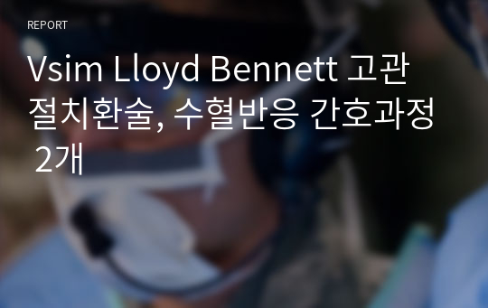 Vsim Lloyd Bennett 고관절치환술, 수혈반응 간호과정 2개