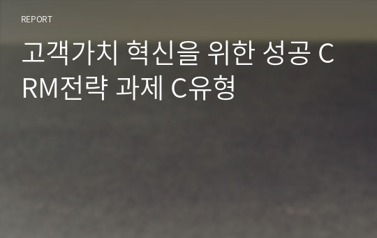 고객가치 혁신을 위한 성공 CRM전략 과제 C유형