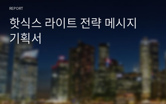 핫식스 라이트 전략 메시지 기획서