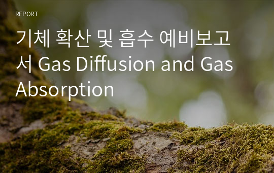 기체 확산 및 흡수 예비보고서 Gas Diffusion and Gas Absorption