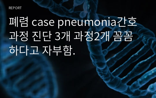폐렴 case pneumonia간호과정 진단 3개 과정2개 꼼꼼하다고 자부함.