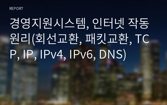 경영지원시스템, 인터넷 작동원리(회선교환, 패킷교환, TCP, IP, IPv4, IPv6, DNS)