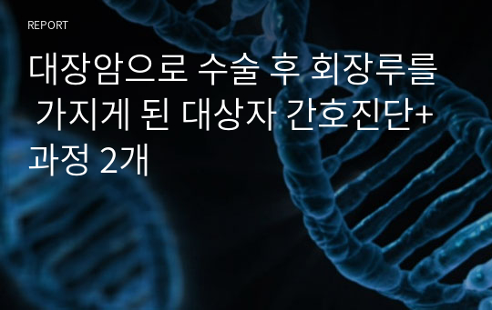 대장암으로 수술 후 회장루를 가지게 된 대상자 간호진단+과정 2개