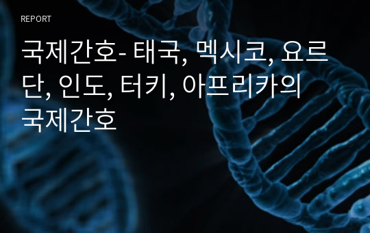 국제간호- 태국, 멕시코, 요르단, 인도, 터키, 아프리카의 국제간호