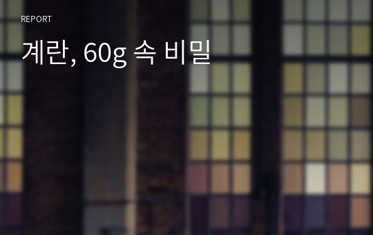 계란, 60g 속 비밀