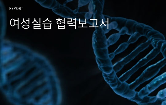 여성실습 협력보고서