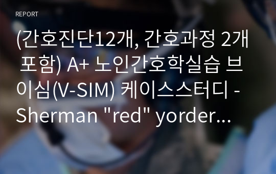 (간호진단12개, 간호과정 2개 포함) A+ 노인간호학실습 브이심(V-SIM) 케이스스터디 - Sherman &quot;red&quot; yorder type2 (셔먼레드요더)