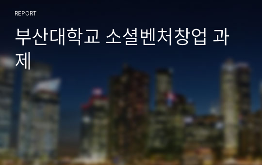 부산대학교 소셜벤처창업 과제