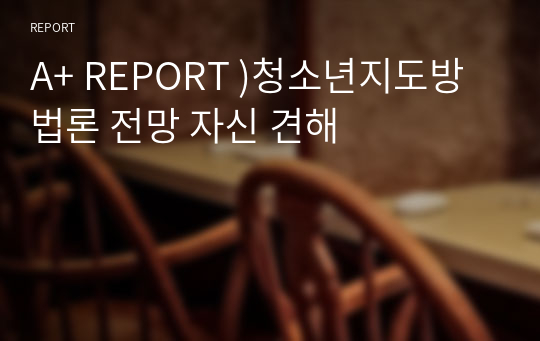 A+ REPORT )청소년지도방법론 전망 자신 견해