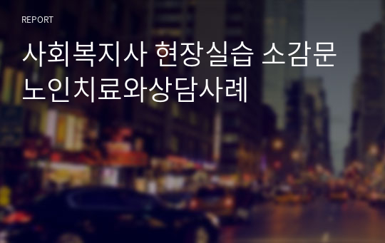 사회복지사 현장실습 소감문 노인치료와상담사례