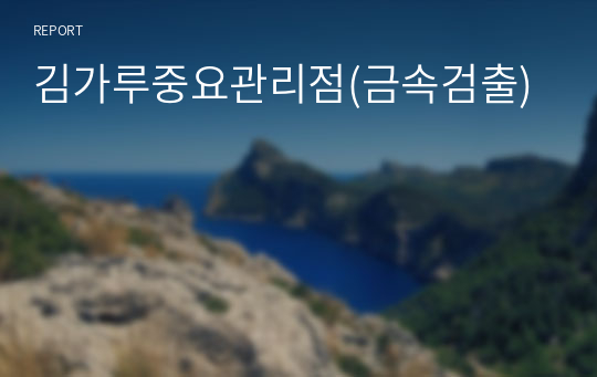 김가루중요관리점(금속검출)