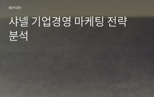 샤넬 기업경영 마케팅 전략 분석