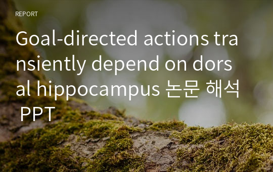 Goal-directed actions transiently depend on dorsal hippocampus 논문 해석 PPT