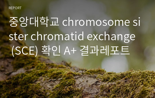 중앙대학교 chromosome sister chromatid exchange (SCE) 확인 A+ 결과레포트