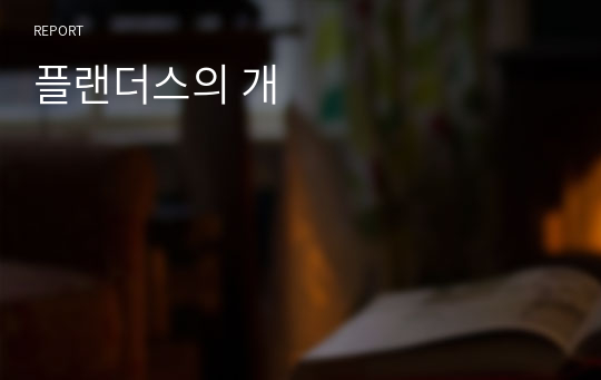 플랜더스의 개