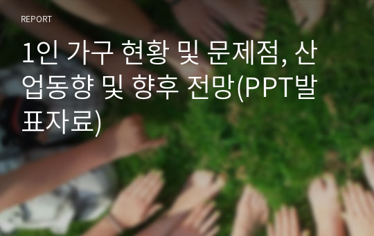 1인 가구 현황 및 문제점, 산업동향 및 향후 전망(PPT발표자료)