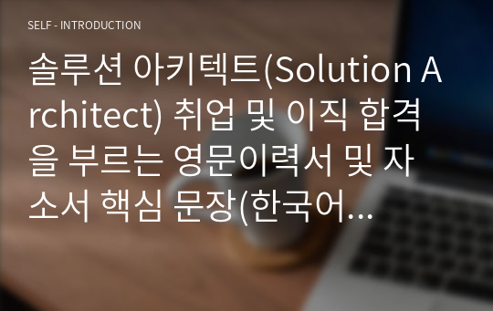 솔루션 아키텍트(Solution Architect) 취업 및 이직 합격을 부르는 영문이력서 및 자소서 핵심 문장(한국어 포함)