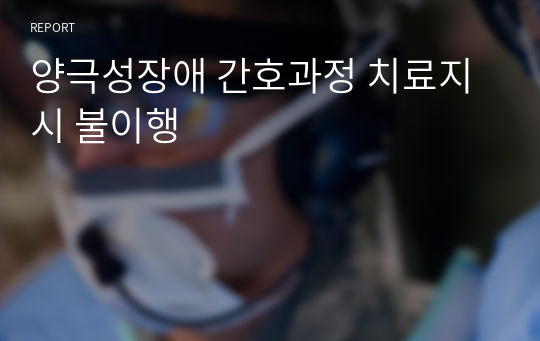 양극성장애 간호과정 치료지시 불이행