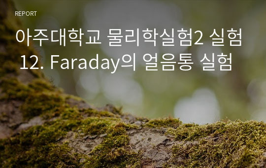 아주대학교 물리학실험2 실험 12. Faraday의 얼음통 실험