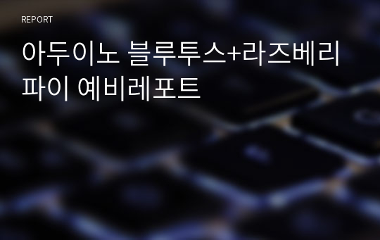 아두이노 블루투스+라즈베리파이 예비레포트