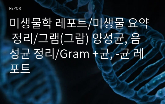 [미생물학] 미생물 요약 정리/그램(그람) 양성균, 음성균 정리/Gram +균, -균 레포트