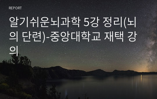 알기쉬운뇌과학 5강 정리(뇌의 단련)-중앙대학교 재택 강의