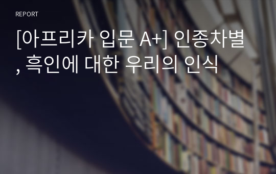 [아프리카 입문 A+] 인종차별, 흑인에 대한 우리의 인식