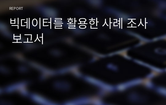 빅데이터를 활용한 사례 조사 보고서