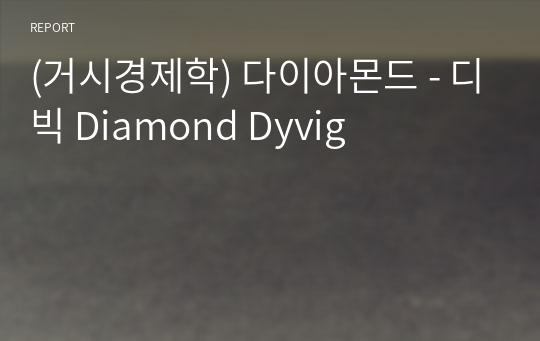 (거시경제학) 다이아몬드 - 디빅 Diamond Dyvig