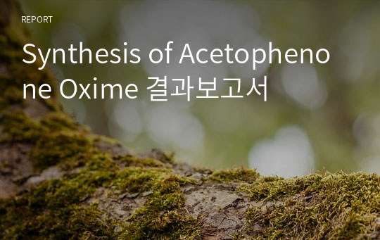 Synthesis of Acetophenone Oxime 결과보고서