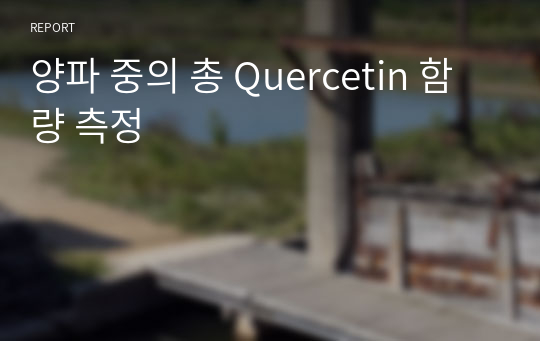 양파 중의 총 Quercetin 함량 측정