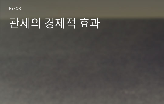 관세의 경제적 효과