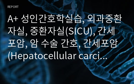 A+ 성인간호학실습, 외과중환자실, 중환자실(SICU), 간세포암, 암 수술 간호, 간세포암(Hepatocellular carcinoma), 복강경 수술, 수술간호, 간호진단, 간호과정, 케이스스터디