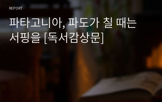 파타고니아, 파도가 칠 때는 서핑을 [독서감상문]