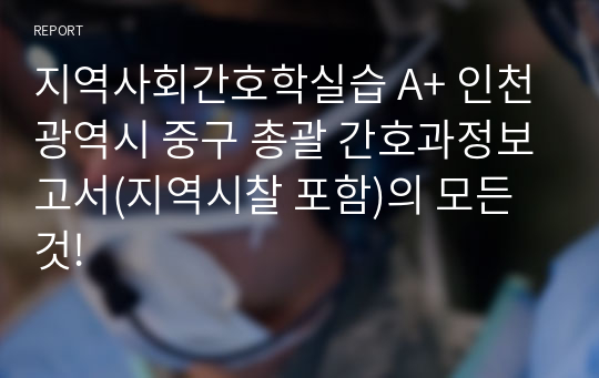 지역사회간호학실습 A+ 인천광역시 중구 총괄 간호과정보고서(지역시찰 포함)의 모든 것!