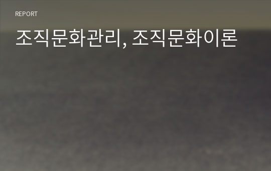 조직문화관리, 조직문화이론