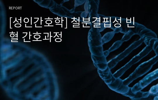 [성인간호학] 철분결핍성 빈혈 간호과정