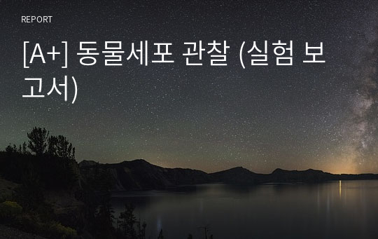 [A+] 동물세포 관찰 (실험 보고서)