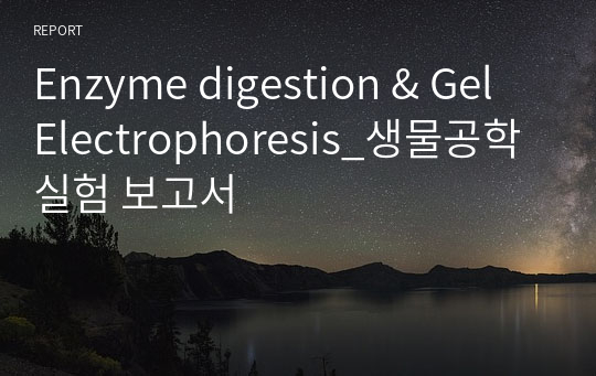 Enzyme digestion &amp; Gel Electrophoresis_생물공학실험 보고서