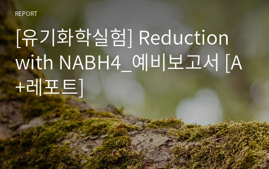 [유기화학실험] Reduction 예비보고서 [A+레포트]