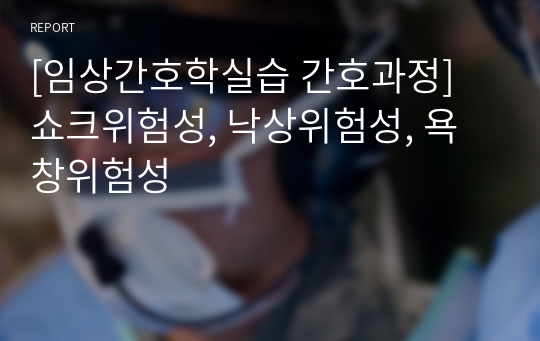 [임상간호학실습 간호과정] 쇼크위험성, 낙상위험성, 욕창위험성