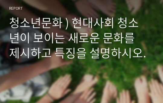 청소년문화 ) 현대사회 청소년이 보이는 새로운 문화를 제시하고 특징을 설명하시오.