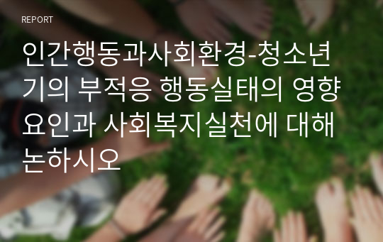 인간행동과사회환경-청소년기의 부적응 행동실태의 영향요인과 사회복지실천에 대해 논하시오