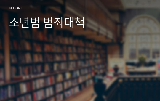 소년범 범죄대책