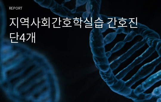 지역사회간호학실습 간호진단4개