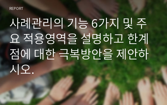 사례관리의 기능 6가지 및 주요 적용영역을 설명하고 한계점에 대한 극복방안을 제안하시오.